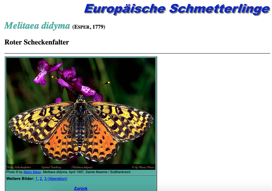 screenshot of Europäische Schmetterlinge's homepage